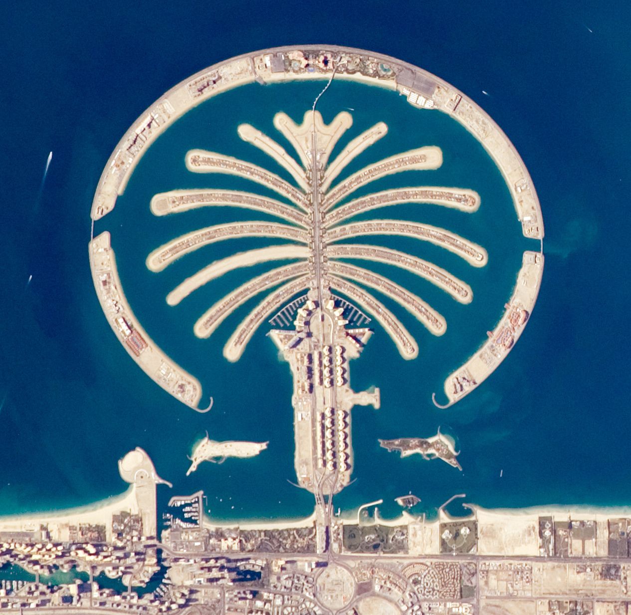 Полёт на гидросамолёте над Palm