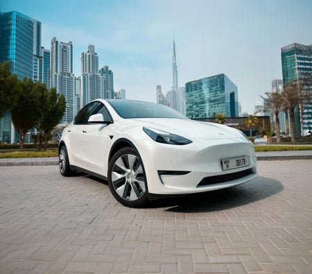 Tesla Model Y Long Range 2022