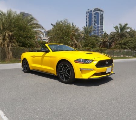 Ford Mustang EcoBoost Convertible V4 2020