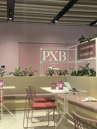 PXB