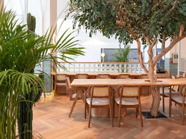 Friends Avenue Cafe Silicon Oasis