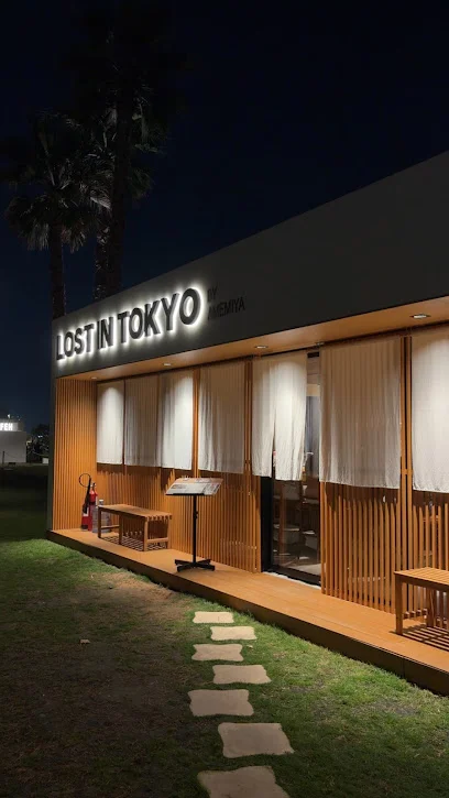 LOST IN TOKYO