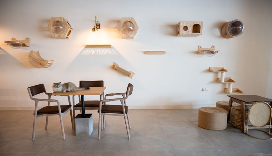 Meowtropolis Cat Cafe