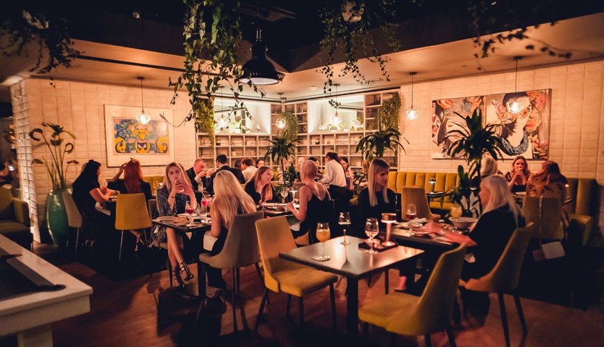 Nido Tapas Bar & Restaurant