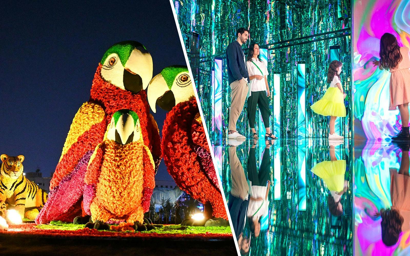 Комбо: Dubai Garden Glow + билеты на Вселенную AYA