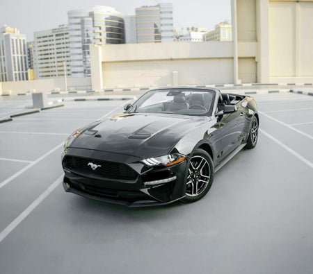 Ford Mustang Ecoboost Convertible 2023