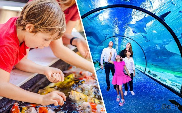 Combo (Ahorra un 38%): Los Jardines de las Mariposas + Entradas para el Acuario Nacional de Abu Dhabi