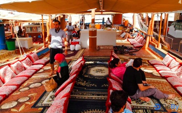 From Dubai: Musandam Dibba Dhow Cruise Day Trip With Hotel Transfers and Lunch