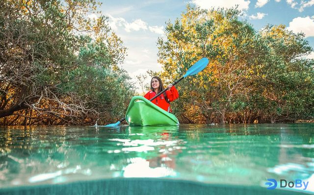 Entradas para Kayak en los Manglares de Abu Dhabi