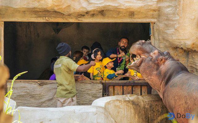 Entradas para el Zoo del Parque de los Emiratos Árabes Unidos