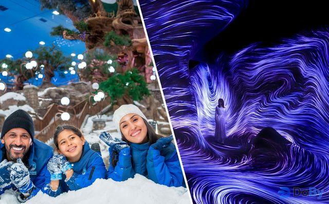 Combo (Ahorra un 6%): Entradas Snow Park Abu Dhabi + teamLab Phenomena Abu Dhabi