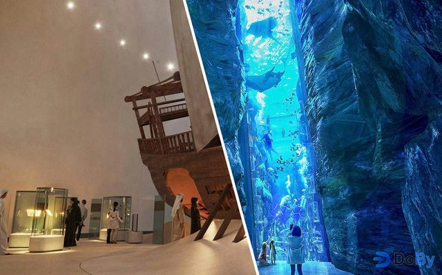 Combo: SeaWorld Abu Dhabi + Entradas al Museo Nacional Zayed