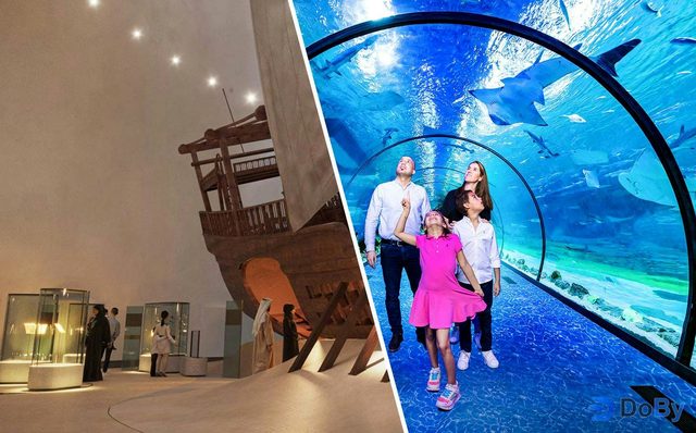 Combo (Ahorra un 23%): Acuario Nacional de Abu Dhabi + Entradas al Museo Nacional Zayed