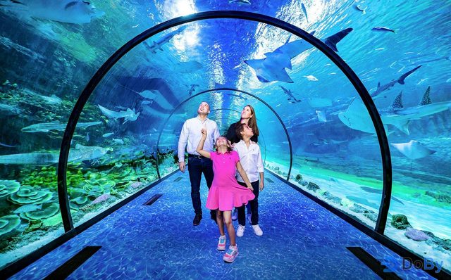 Desde Abu Dhabi: Visita guiada de medio día por Abu Dhabi con entradas a atracciones a elegir