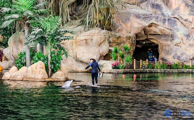 Pase rápido a SeaWorld Abu Dhabi