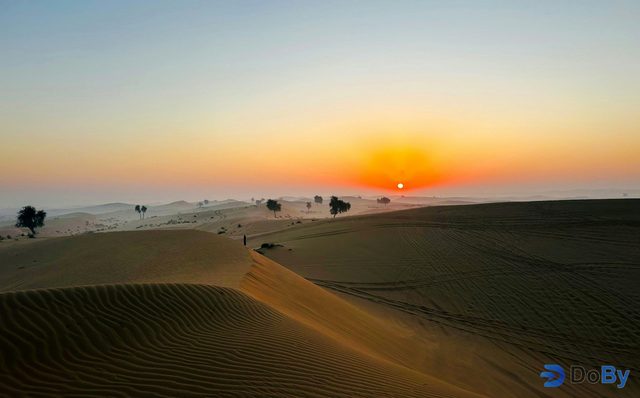 Safari privado al amanecer por el desierto de Abu Dabi con paseo en camello y traslados al hotel