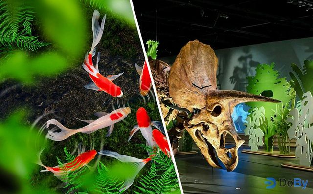 Combo (Ahorra un 4%): Museo de Historia Natural de Abu Dhabi + Headout Exclusivo: Entradas para los Jardines de Mariposas de Abu Dhabi