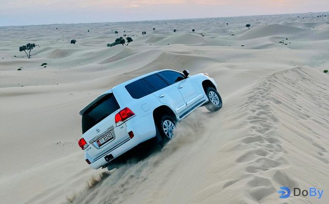 Safari nocturno por el desierto de Abu Dabi con conducción en dunas en 4x4, paseo en camello, cena a la barbacoa y espectáculos en directo